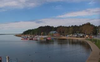 Dąbki - 19-05-2026 07:57