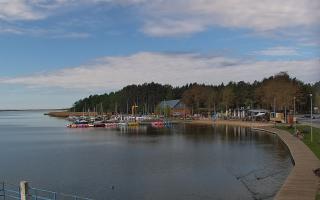 Dąbki - 19-05-2026 08:13