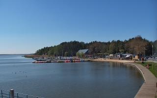 Dąbki - 19-05-2026 10:47