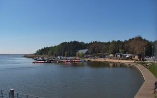 Dąbki - 19-05-2026 11:10