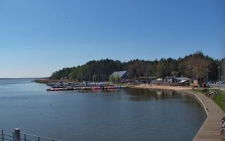 Dąbki - 19-05-2026 11:18