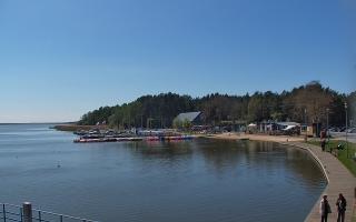 Dąbki - 19-05-2026 11:33