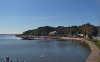 Dąbki - 19-05-2026 11:41