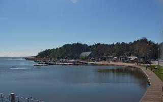 Dąbki - 19-05-2026 12:50