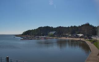 Dąbki - 19-05-2026 13:36