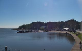 Dąbki - 19-05-2026 14:07