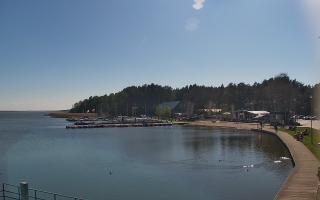Dąbki - 19-05-2026 14:38