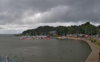 Dąbki - 23-07-2026 10:39