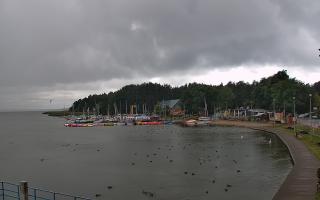 Dąbki - 23-07-2026 10:54