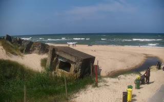 Bobolin Bunkry - 17-06-2025 09:30