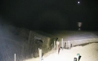 Bobolin Bunkry - 21-03-2026 19:37