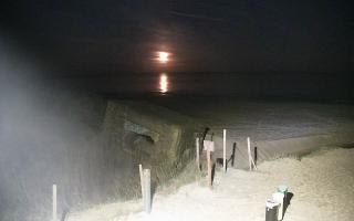 Bobolin Bunkry - 28-04-2026 01:53