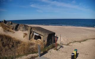 Bobolin Bunkry - 28-04-2026 07:46