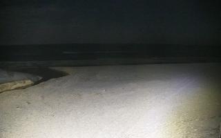 Bobolin plaża - 31-01-2026 00:22