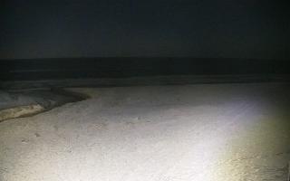 Bobolin plaża - 31-01-2026 01:27