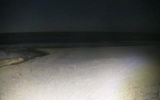 Bobolin plaża - 31-01-2026 01:43