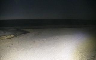 Bobolin plaża - 31-01-2026 02:47