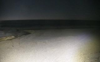 Bobolin plaża - 31-01-2026 03:35