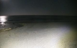 Bobolin plaża - 31-01-2026 04:23