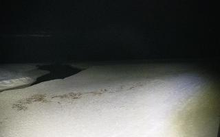 Bobolin plaża - 16-03-2026 18:11