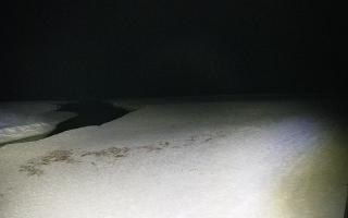 Bobolin plaża - 16-03-2026 18:59