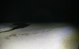 Bobolin plaża - 16-03-2026 19:47