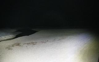 Bobolin plaża - 16-03-2026 21:07