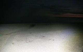 Bobolin plaża - 06-06-2026 22:59