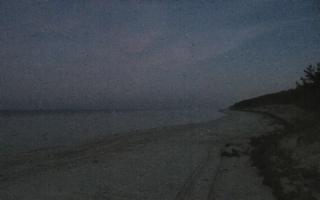 Mrzeżyno - plaża #2 - 18-12-2025 15:29