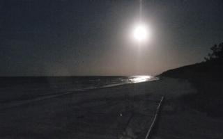 Mrzeżyno - plaża #2 - 26-10-2026 16:38