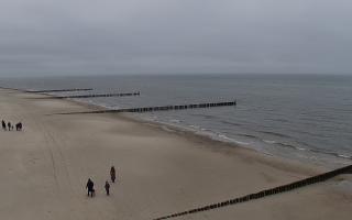 Rogowo - plaża #1 - 24-02-2026 12:18