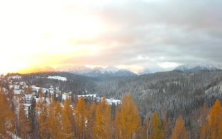 Bukovina - Panorama - 21-11-2024 06:12