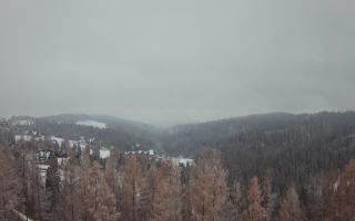 Bukovina - Panorama - 04-12-2024 14:12