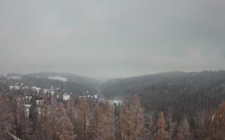 Bukovina - Panorama - 04-12-2024 14:19