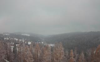 Bukovina - Panorama - 04-12-2024 14:26