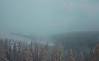 Bukovina - Panorama - 04-12-2024 14:41