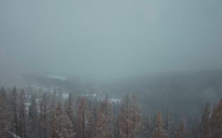 Bukovina - Panorama - 04-12-2024 14:48