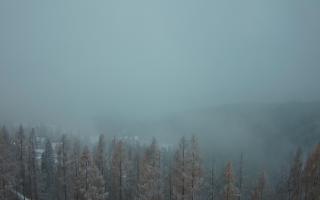 Bukovina - Panorama - 04-12-2024 14:55