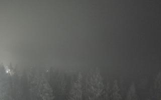 Bukovina - Panorama - 05-12-2024 02:10