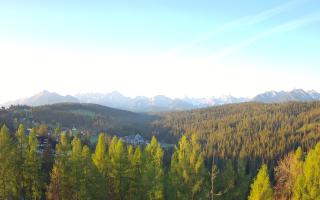 Bukovina - Panorama - 02-05-2025 04:04