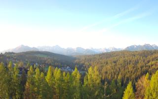 Bukovina - Panorama - 02-05-2025 04:11