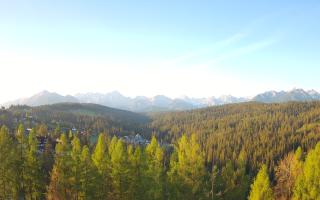 Bukovina - Panorama - 02-05-2025 04:18