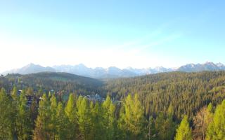 Bukovina - Panorama - 02-05-2025 04:25