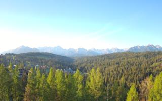 Bukovina - Panorama - 02-05-2025 04:32