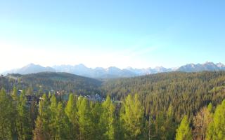 Bukovina - Panorama - 02-05-2025 04:39