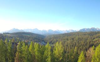 Bukovina - Panorama - 02-05-2025 04:46