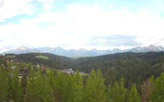 Bukovina - Panorama - 02-05-2025 15:10