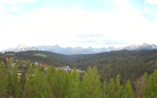 Bukovina - Panorama - 02-05-2025 15:17