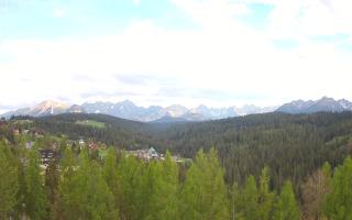 Bukovina - Panorama - 02-05-2025 15:24