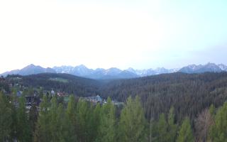 Bukovina - Panorama - 03-05-2025 03:00